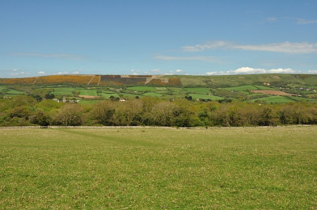 13 05 15_4053.JPG - ISLE OF PURBECK, DORSET - SPRING 2015